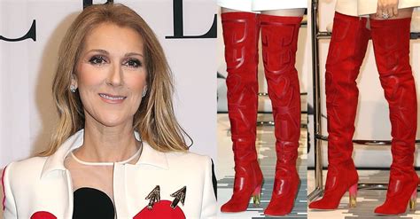 celine dion shoes don't match|celine dion shoes for women.